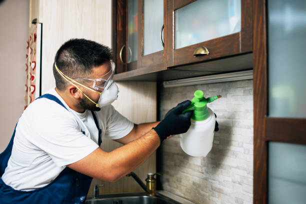 Best Wildlife Control Services  in Stuart, FL