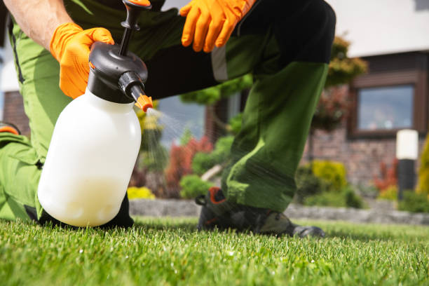 Best Mosquito Control Services  in Stuart, FL