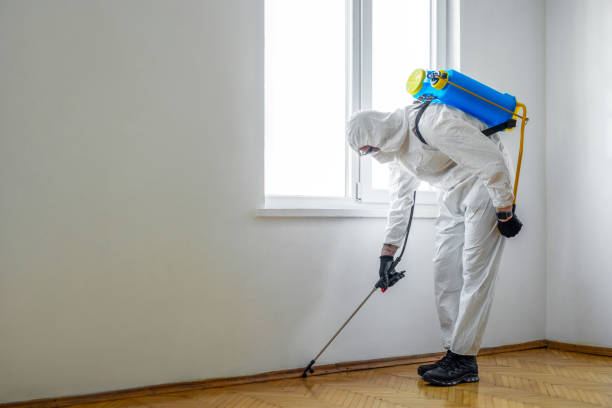 Best Best Pest Control Companies  in Stuart, FL