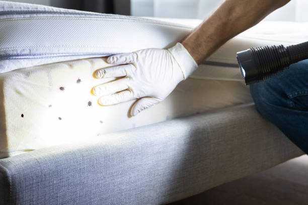 Pest Control for Restaurants in Stuart, FL