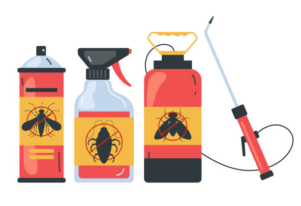 Best Termite Control Services  in Stuart, FL