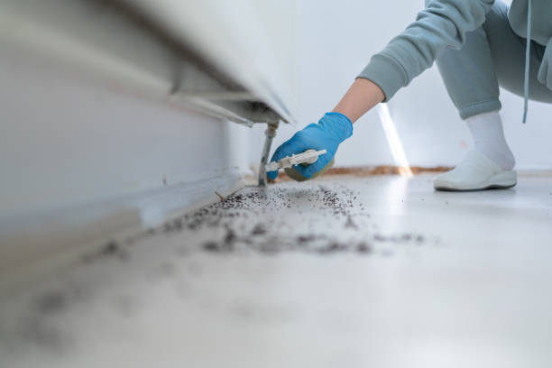 Best Cockroach Control Services  in Stuart, FL