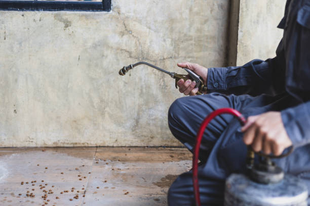 Best Pest Control Near Me  in Stuart, FL